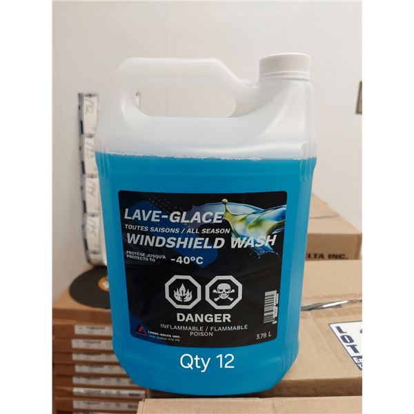 LOT DE 12 BOUTEILLES BOUTEILLE DE LAVE-GLACE -40, 4 LITRES