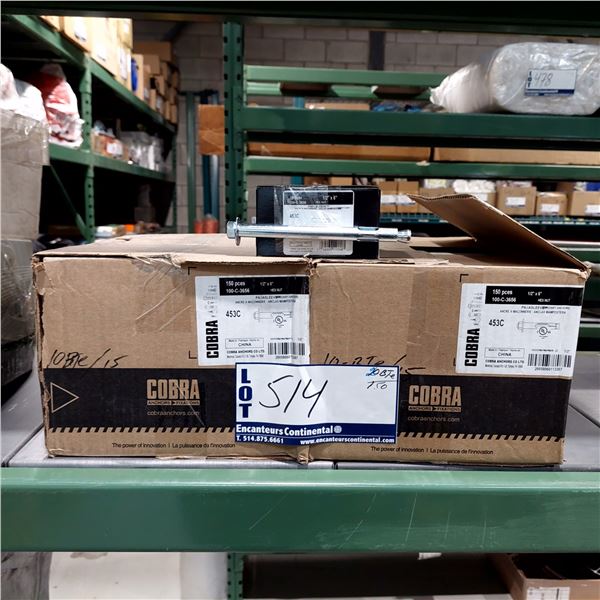 BOITE DE 150 ANCRAGES À MAÇONNERIE 1/2" X 6" COBRA