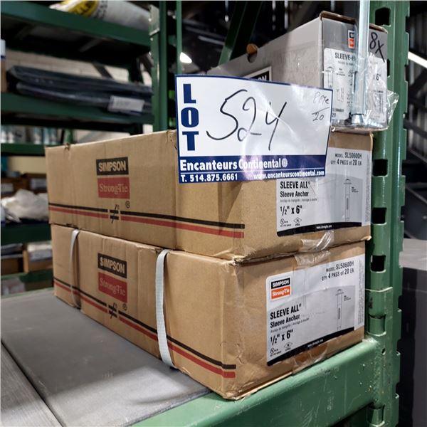 BOITE DE 20 ANCRAGES À DOUILLE 1/2" X 6" SIMPSON