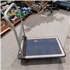 Image 1 : PETITE PLATEFORME DE TRANSPORT 12" X 29"