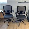 Image 1 : CHAISES DE BUREAU