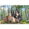 Image 2 : LANCER SYSTEMS GUN BUILD AND COW ELK HUNT AT CAMP FREEDOM