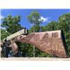 Image 4 : THE CAMP FREEDOM ULTIMATE TRIO OF CUSTOM FIREARMS