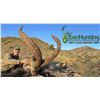 Image 1 : IBER HUNTING SIERRA NEVADA HUNT