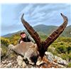Image 4 : IBER HUNTING SIERRA NEVADA HUNT