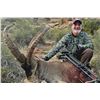 Image 5 : IBER HUNTING SIERRA NEVADA HUNT