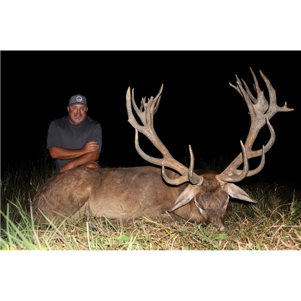 UNLIMITED RED STAG HUNT AT CAMP FREEDOM