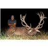 Image 1 : UNLIMITED RED STAG HUNT AT CAMP FREEDOM