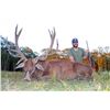Image 2 : UNLIMITED RED STAG HUNT AT CAMP FREEDOM