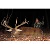Image 3 : UNLIMITED RED STAG HUNT AT CAMP FREEDOM