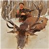 Image 5 : UNLIMITED RED STAG HUNT AT CAMP FREEDOM