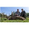 Image 1 : UNLIMITED WHITETAIL HUNT AT CAMP FREEDOM