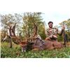 Image 5 : UNLIMITED WHITETAIL HUNT AT CAMP FREEDOM