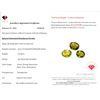 Image 3 : *^16.9 ct Certified Himalayan Peridot gemstone Parcel ($12,675 Appraisal)