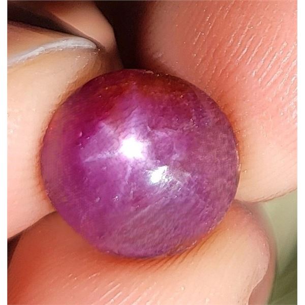 *^11.5 ct Certified Untreated Star Ruby gemstone ($17,250 Appraisal)