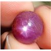Image 2 : *^11.5 ct Certified Untreated Star Ruby gemstone ($17,250 Appraisal)