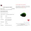 Image 3 : *^8.85 ct Certified Zambian Emerald gemstone ($13,275 Appraisal)