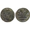 Image 1 : BOSPOROS: Pantikapaion, AE22 (8.72g), ca. 310-303 BC, XF