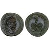 Image 1 : ROMAN PROVINCIAL, THRACE: Pautalia, Commodus, 193-211 AD, AE30 (15.73g), Choice VF