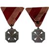 Image 1 : AUSTRIA: zinc medal, XF
