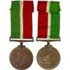 Image 1 : GREAT BRITAIN: AE medal, AU