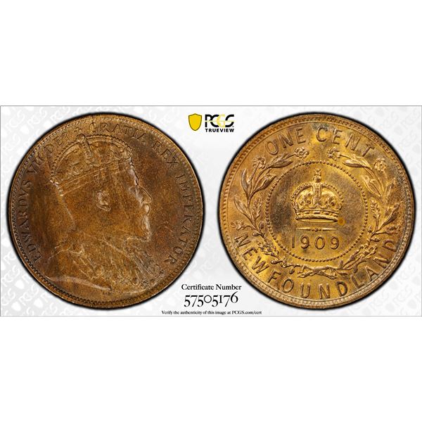 CANADA: NEWFOUNDLAND: Edward VII, 1901-1910, AE cent, 1909, PCGS MS63 BN