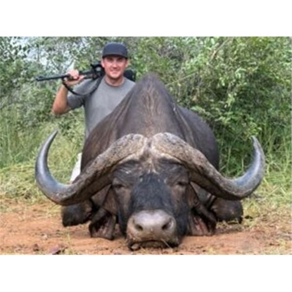 South Africa  10 Day  Cape Buffalo, Spotted Hyena and Sable Safari  for One Hunter & One Non-hunter