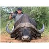 Image 1 : South Africa  10 Day  Cape Buffalo, Spotted Hyena and Sable Safari  for One Hunter & One Non-hunter