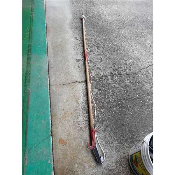 Pruning pole
