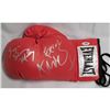 Image 1 : Sugar Shane Mosley and Fernando Vargas Signed Red Boxing Glove