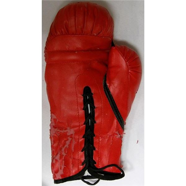 Nonito Donaire Jr. & Fernando Montiel Signed Boxing Glove
