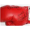 Image 4 : Nonito Donaire Jr. & Fernando Montiel Signed Boxing Glove