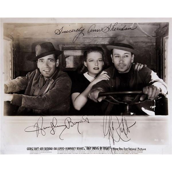 They Drive by Night signed movie photo