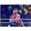 Image 1 : Pro Wrestler Brock Lesnar facsimile signed  photo