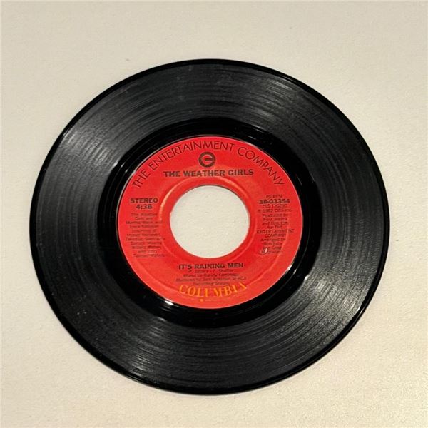 The Weather Girls It's Raining Men 45 Album