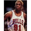 Image 1 : Chicago Bulls Dennis Rodman signed photo