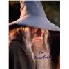Image 1 : Lord of the Rings Ian McKellen signed photo