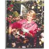 Image 1 : Martha Stewart Signed Photo