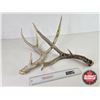 Image 1 : Antler Sheds (2)