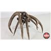 Image 4 : Matching White Tail Shed Antlers (Consignor Tag - Approx. 145 Boone and Crockett Score)