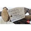 Image 7 : Matching White Tail Shed Antlers (Consignor Tag - Approx. 145 Boone and Crockett Score)
