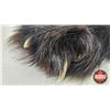 Image 3 : Tanned Wolverine Suitable for Taxidermy Tanned in Winnipeg : has Stamp : 40" Long