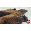 Image 6 : Tanned Wolverine Suitable for Taxidermy Tanned in Winnipeg : has Stamp : 40" Long