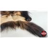 Image 9 : Tanned Wolverine Suitable for Taxidermy Tanned in Winnipeg : has Stamp : 40" Long