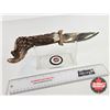 Image 4 : Antler Handled Hunting Knife (Total Length of Knife : 11-1/2")