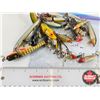 Image 4 : Variety of Fishing Lures (24) - Crank Baits and Top Water
