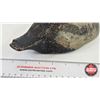 Image 4 : Wooden Duck Decoy (Consignor Tag - Blue Bill Working Decoy Glass Eyes c. 1940's) (Measures : 5-1/2"H