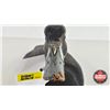 Image 7 : Wooden Duck Decoy (Consignor Tag - Blue Bill Hen Working Decoy Stamped FC 1951) (Measures : 6-1/2"H 