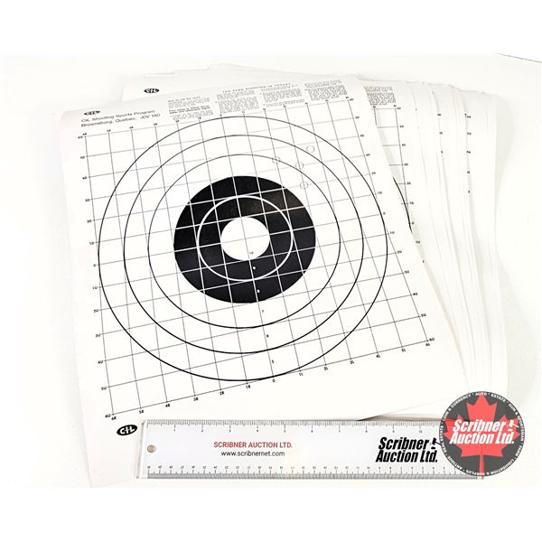 CIL 100 Yard Sighting In Target (14)