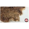 Image 2 : Beaver Pelt (Measures : 23"H x 18"L)